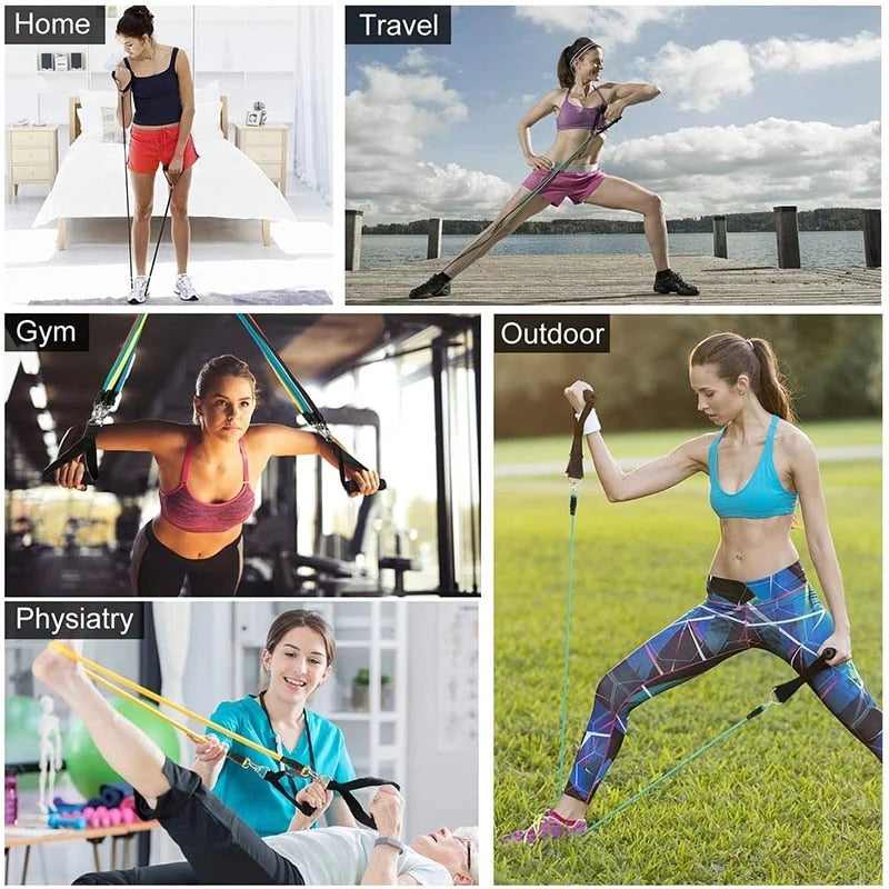 Ortho Fit Store Resistance Elastic Bands