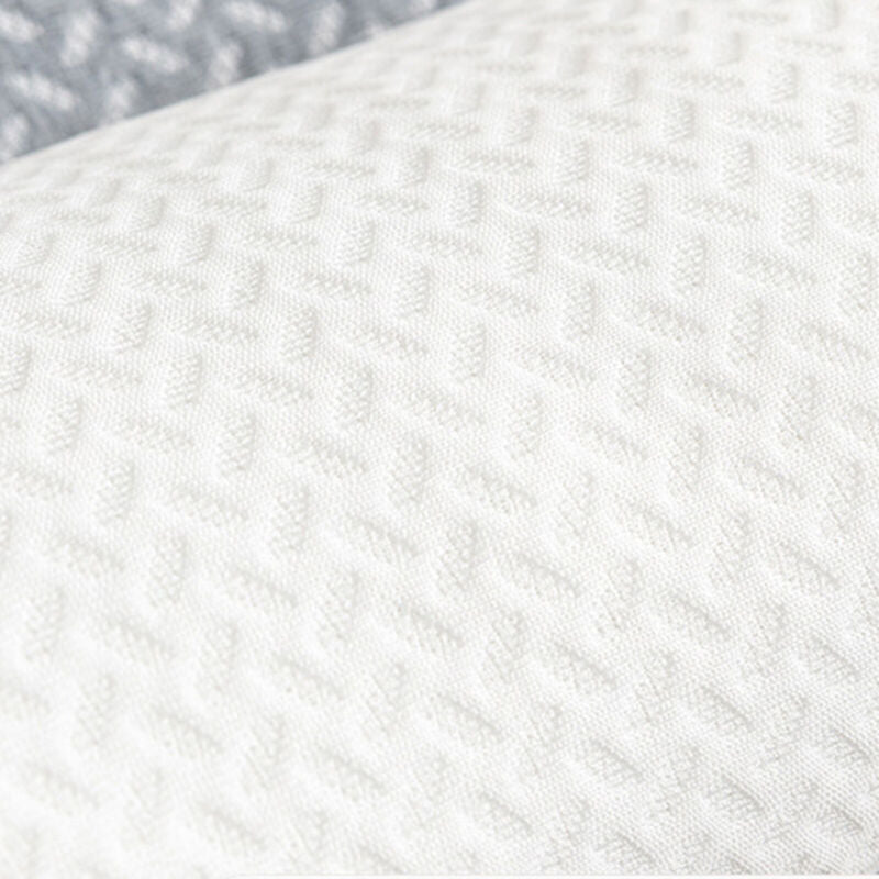 Ortho Fit Store Ergonomic Sleep Improvement Pillow